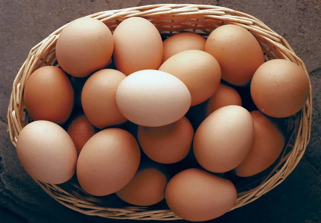buy eggs in Michigan, Lowest price eggs michigan eggs, organic eggs,free range eggs, cage free eggs,