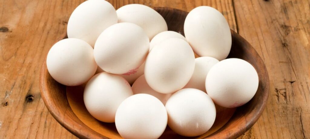 buy eggs in Michigan, Lowest price eggs michigan eggs, organic eggs,free range eggs, cage free eggs,