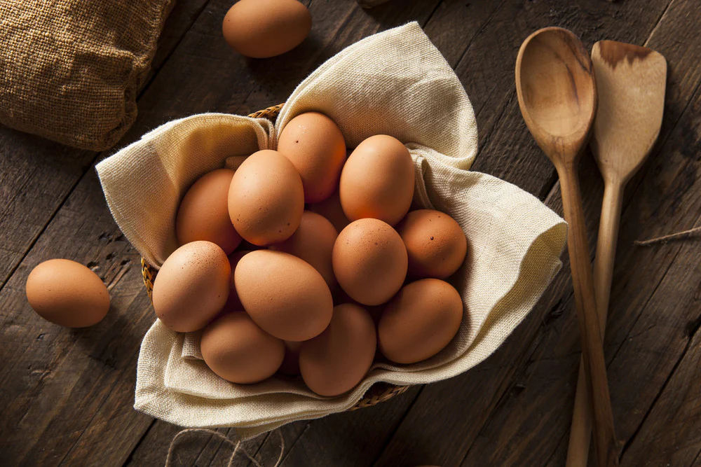 buy eggs in Michigan, Lowest price eggs michigan eggs, organic eggs,free range eggs, cage free eggs,